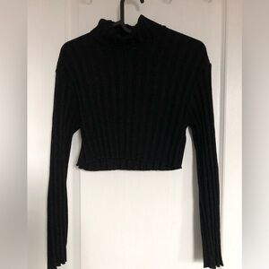 Zara Classic Black Ribbed Turtleneck Sweater.